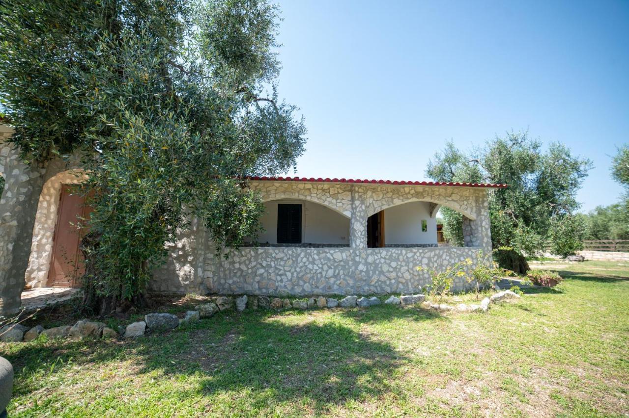 Bed and Breakfast Coppola Rossa Relax Vieste Exterior foto