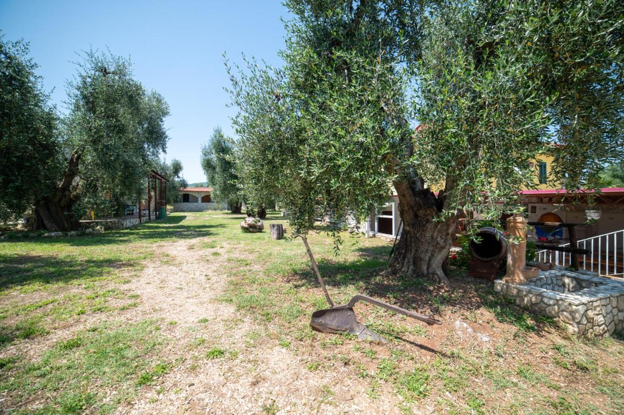 Bed and Breakfast Coppola Rossa Relax Vieste Exterior foto