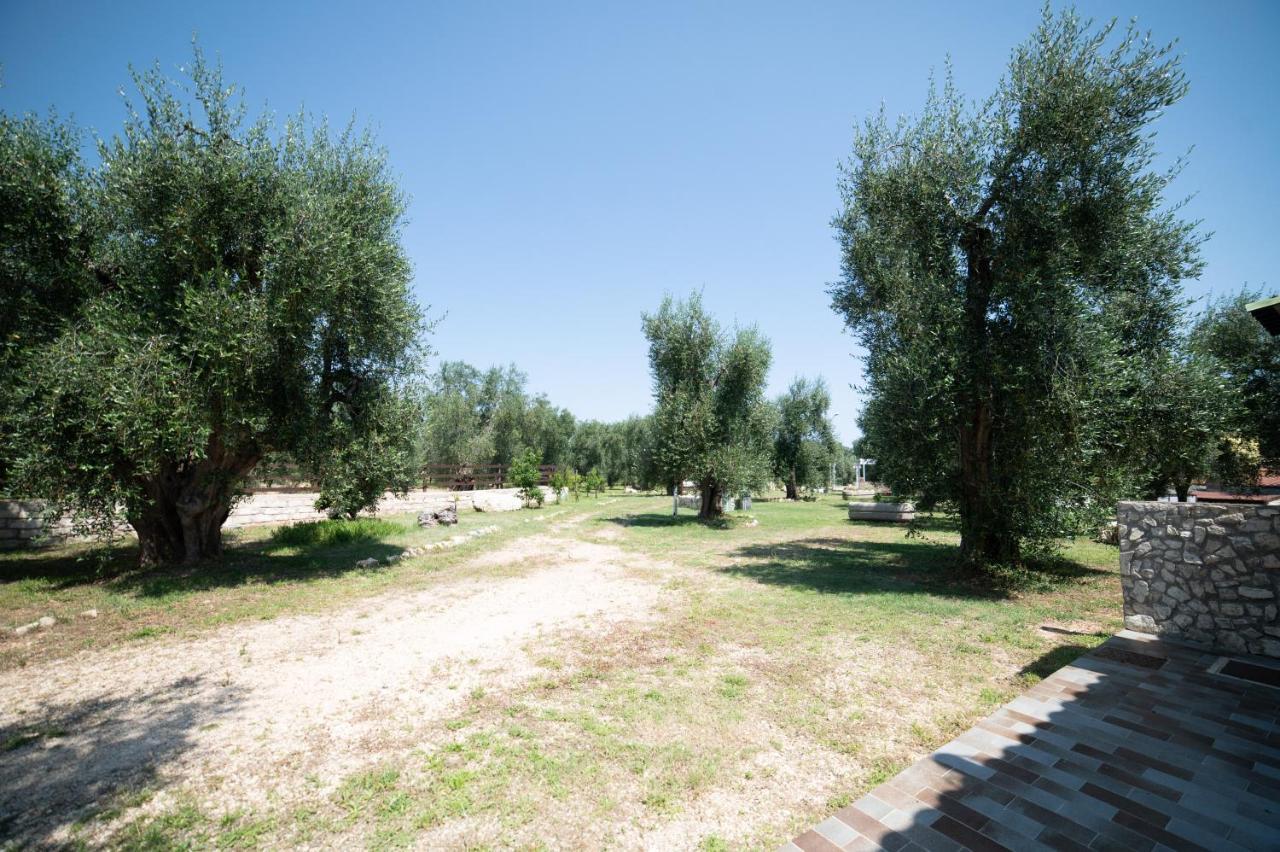 Bed and Breakfast Coppola Rossa Relax Vieste Exterior foto